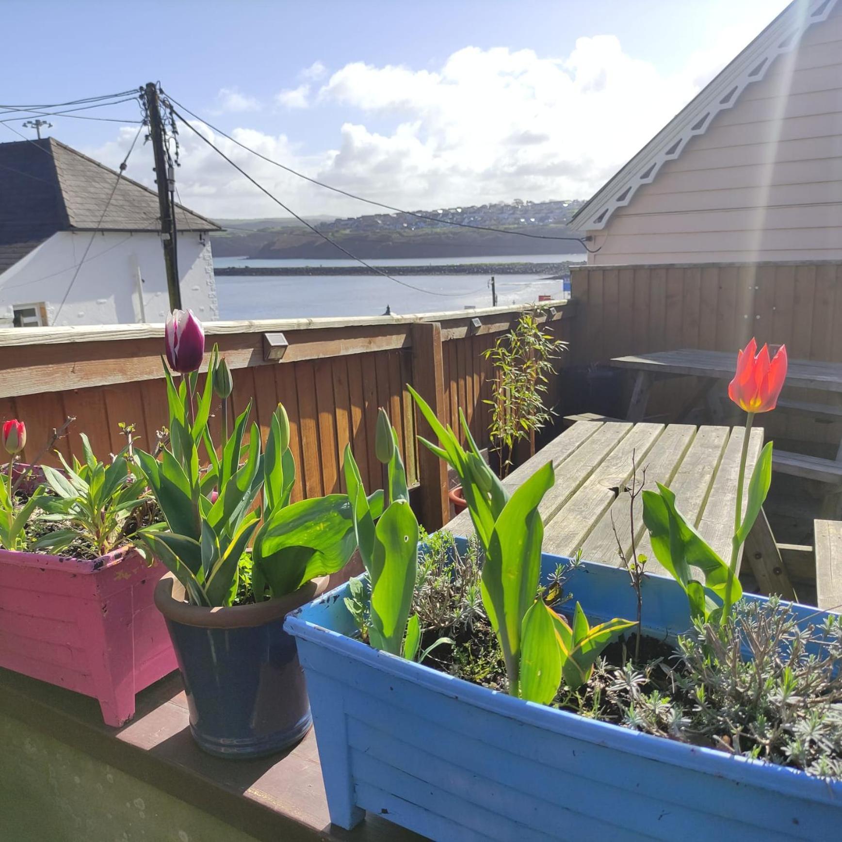 Rose And Crown Hotel & Hope And Anchor Bar Goodwick Eksteriør bilde