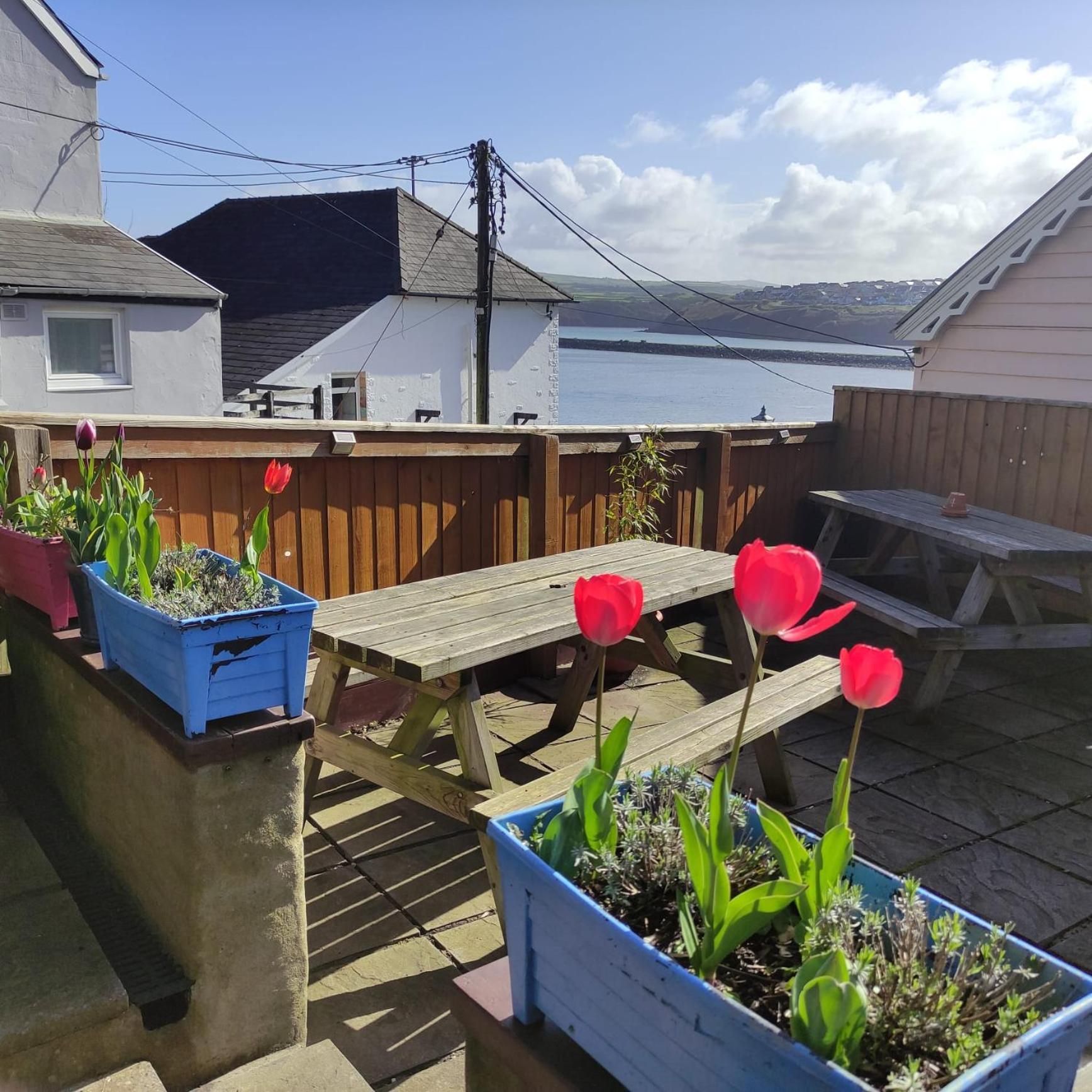 Rose And Crown Hotel & Hope And Anchor Bar Goodwick Eksteriør bilde