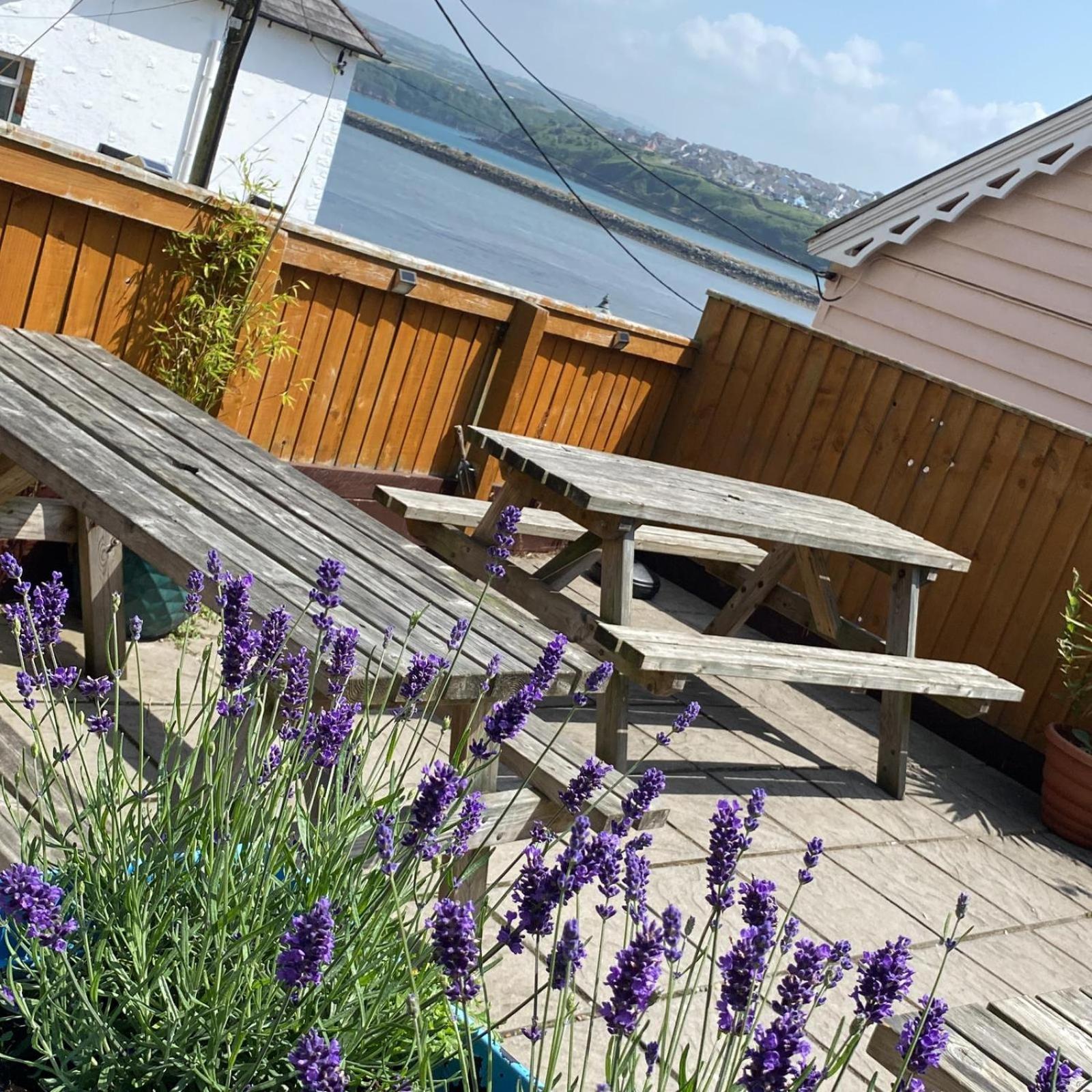 Rose And Crown Hotel & Hope And Anchor Bar Goodwick Eksteriør bilde